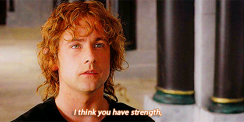pippin GIF