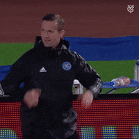 Happy New York City Fc GIF by NYCFC