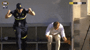Happy Celebration GIF by Football Australia