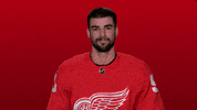 Red Wings Sport GIF by Detroit Red Wings