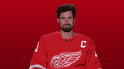 Red Wings Sport GIF by Detroit Red Wings