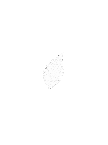 Forest Effects Sticker by Sam Starns