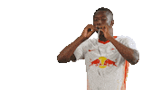 Happy Fun Sticker by RB Leipzig
