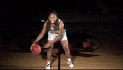 Littlerockwbb GIF by Little Rock Athletics