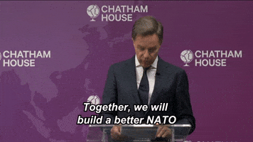 Strongertogether Otan GIF by NATO