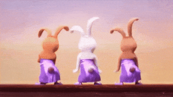 Bunnies GIF