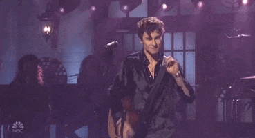 shawn mendes snl GIF by Saturday Night Live