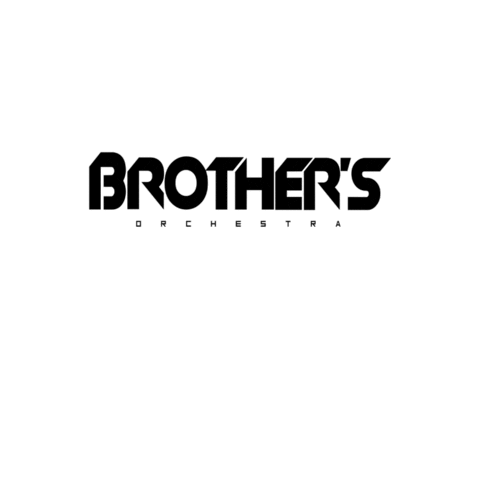 BrothersOrchestra giphygifmaker happy party dj Sticker