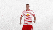 Oh Yeah Yes GIF by RB Leipzig