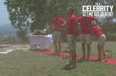 Imacelebrityau GIF by I'm A Celebrity... Get Me Out Of Here! Australia