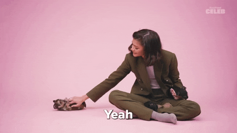 Zendaya GIF by BuzzFeed