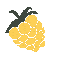 Himbeere Beeren Sticker by Nadine Chaignat