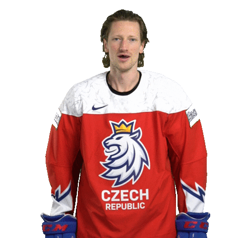 Celebration Hockey Sticker by Národní tým