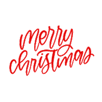 lettering christmasdecor Sticker by lovetistrue