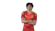 Memo Ochoa Football Sticker by MiSelecciónMX
