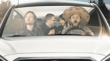 flanderscompany car voiture cindy gringo GIF