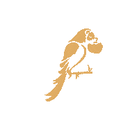 Camarao Arara Sticker by Coco Bambu Oficial