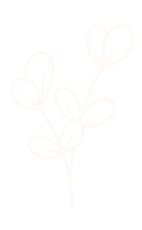 Plant Leaves Sticker by Biome Eco Stores
