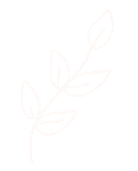 Illustration Leaves Sticker by Biome Eco Stores