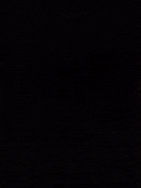 Fedeparkour GIF