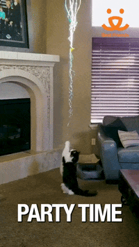 Best Friends Party Time GIF by Best Friends Animal Society