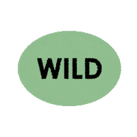 Wild Sticker by Blackhearts & Sparrows
