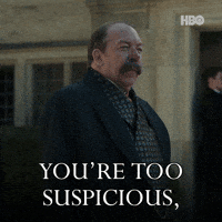 Suspicious Thegildedage GIF by HBO Max