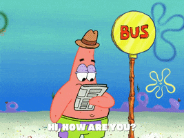 season 6 GIF by SpongeBob SquarePants
