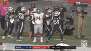 New England Patriots Football GIF by NFL