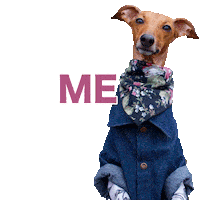 Sweater Weather Wtf Sticker