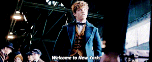 fantastic beasts and where to find them GIF