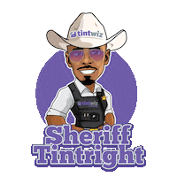 Tinted Windows Window Tint Sticker by Tint Wiz