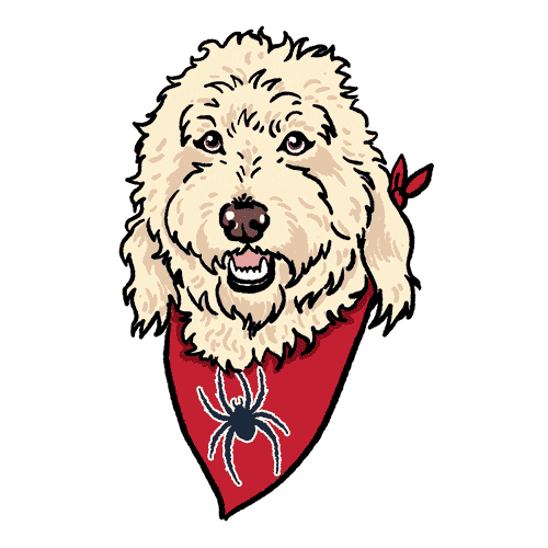 U Of R Spiders Sticker by University of Richmond