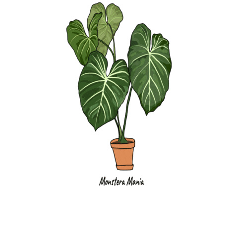 Plant Sticker by Monstera Mania for iOS & Android | GIPHY