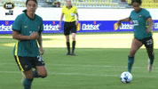 Goal Scoring GIF by Football Australia