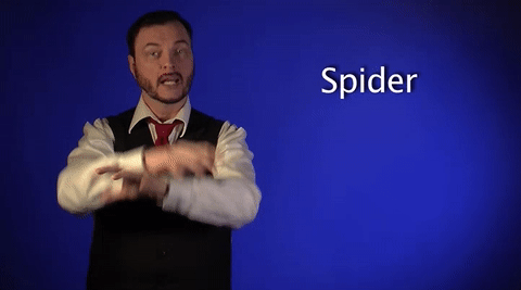 sign language spider GIF by Sign with Robert