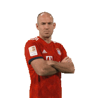 champions league football Sticker by FC Bayern Munich