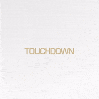 Nfl Touchdown GIF by New Orleans Saints