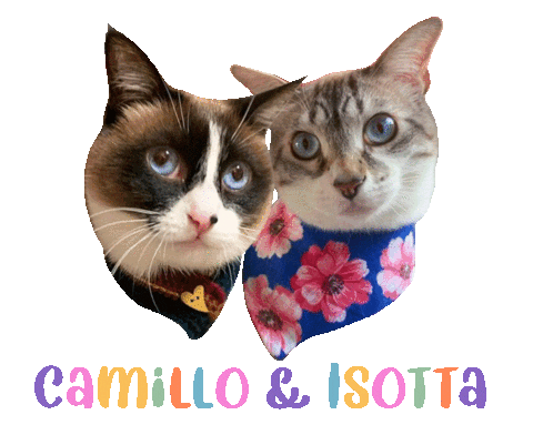 Cat Sticker