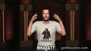 Seth Meyers What GIF by Morphin