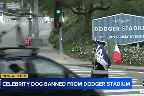 Dodgers Stadium Dog GIF by SWAGGY WOLFDOG