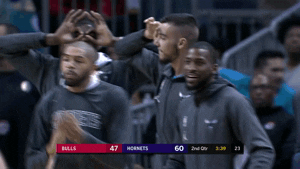 Charlotte Hornets Lol GIF by NBA