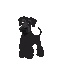 Dog Trainer Sticker by Underdog