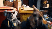 Crime Koala GIF