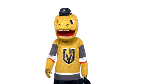 Vegas Golden Knights Sport GIF by NHL
