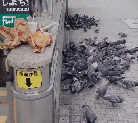 battlefileld1 giphyupload GIF