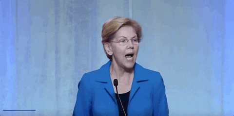 Elizabeth Warren 2020 Race GIF