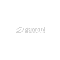 Guaranisaocarlos Sticker by Guarani Sistemas