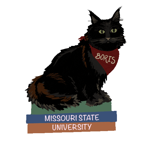 Cat Kitty Sticker by Missouri State University