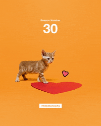 best friends love GIF by Best Friends Animal Society